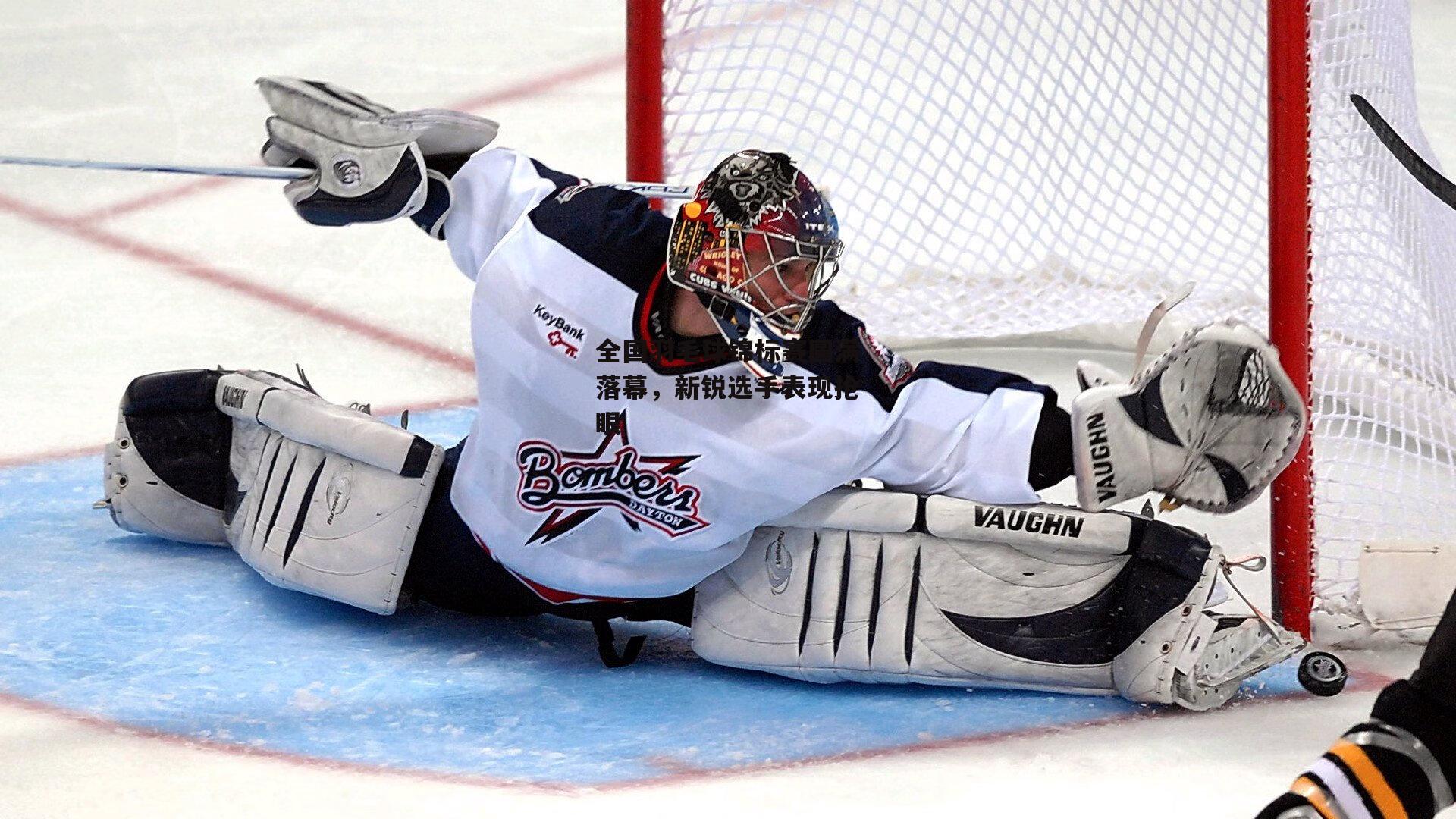 全国羽毛球锦标赛圆满落幕，新锐选手表现抢眼