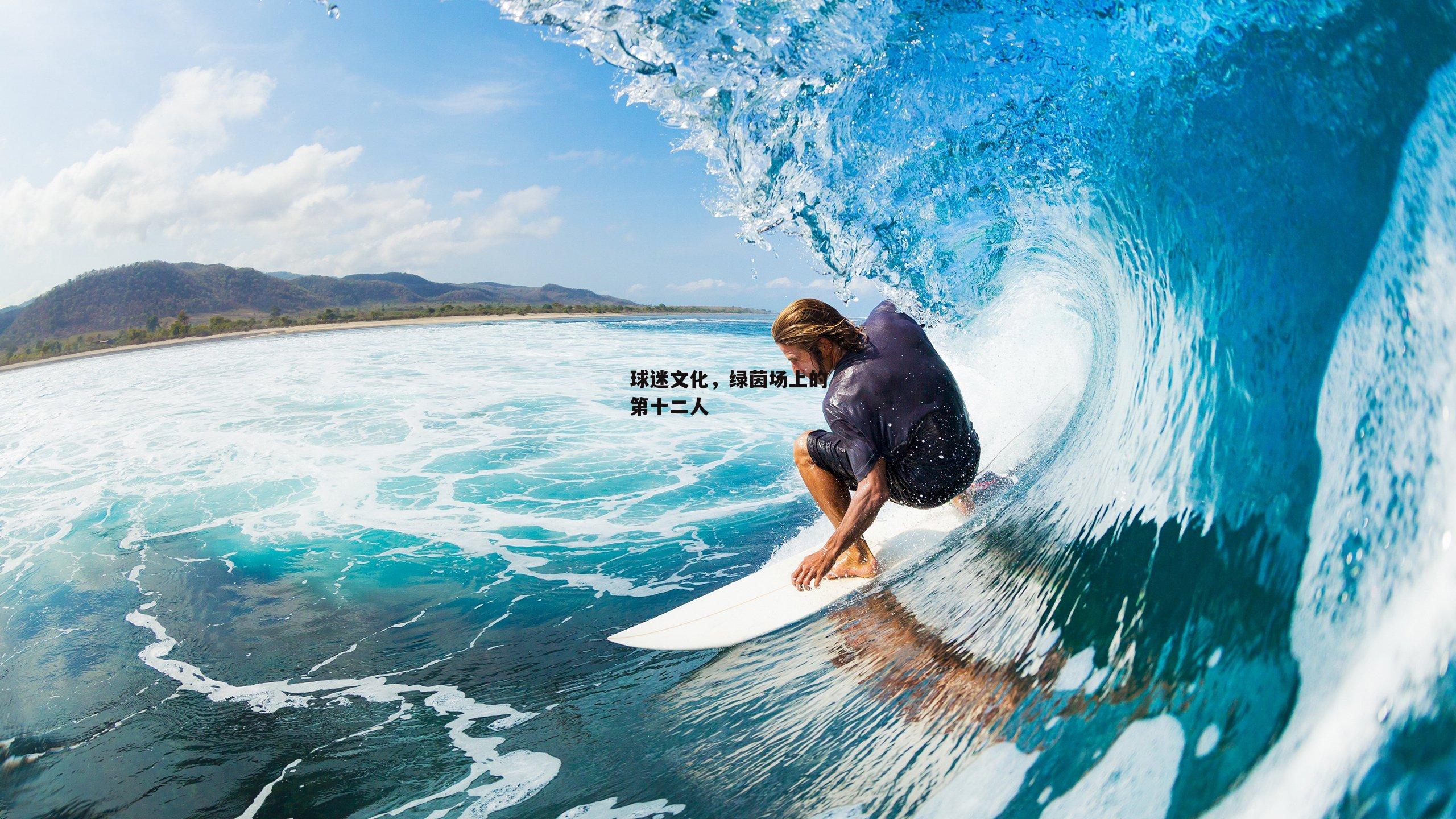 球迷文化,绿茵场上的第十二人